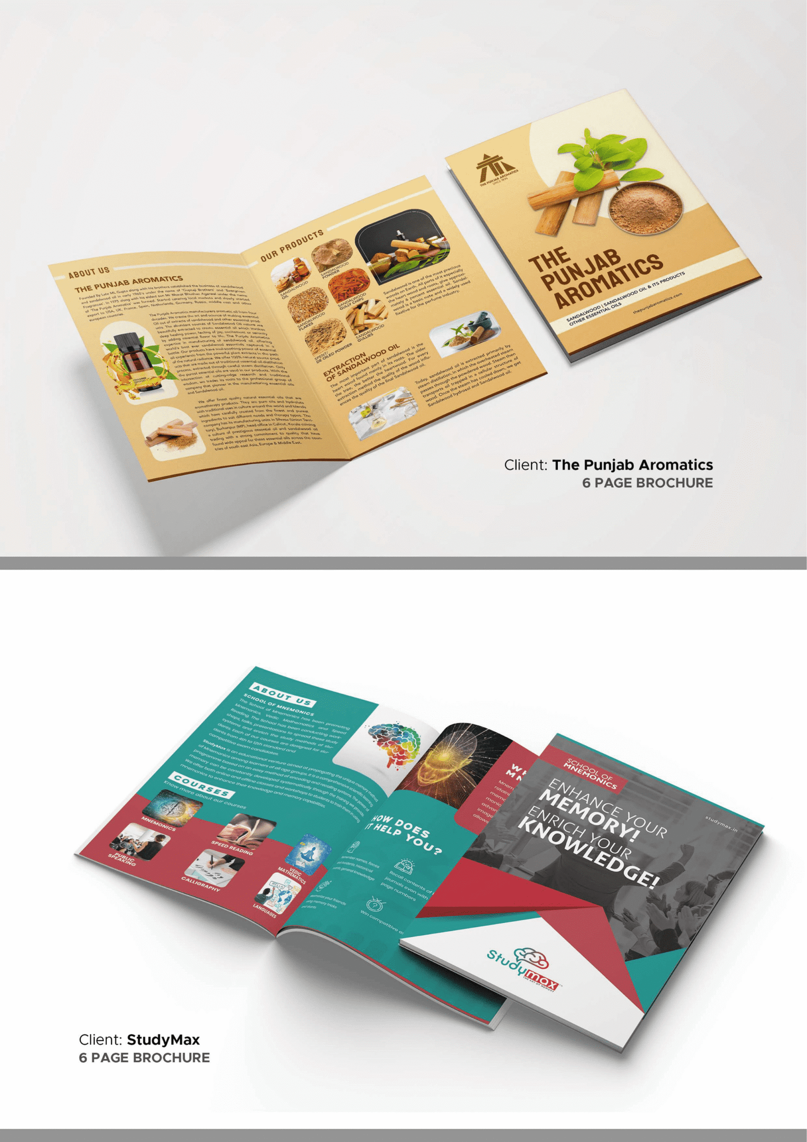 Punjab Aromatics and StudyMac brochure designs from Digital Department